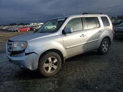 Salvage cars for sale at Eugene, OR auction: 2010 Honda Pilot EXL