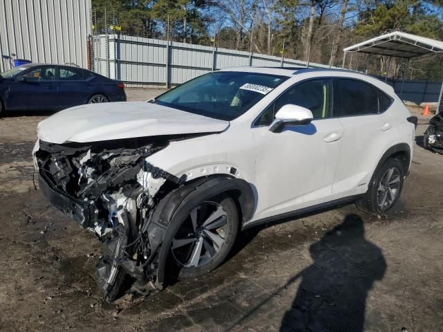 2020 Lexus NX 300H