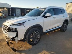 Salvage cars for sale at Fresno, CA auction: 2023 Hyundai Santa FE SEL Premium