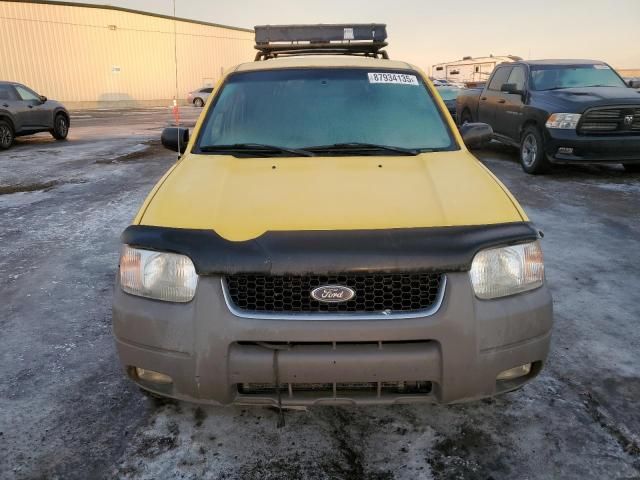 2002 Ford Escape XLT