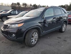 Salvage cars for sale at Exeter, RI auction: 2011 KIA Sorento EX