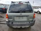 2006 Ford Escape XLT