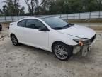 2006 Scion TC