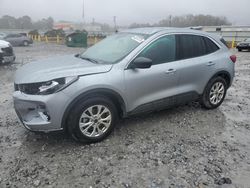 Salvage cars for sale at Montgomery, AL auction: 2024 Ford Escape Active