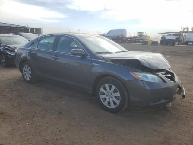 2008 Toyota Camry Hybrid