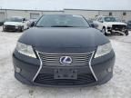 2013 Lexus ES 300H