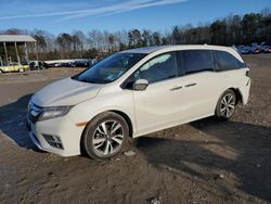 Salvage cars for sale at Charles City, VA auction: 2019 Honda Odyssey Elite