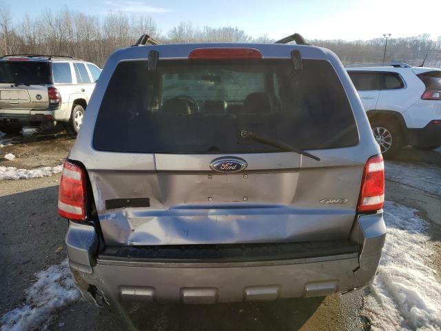 2008 Ford Escape XLT