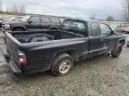 1999 Dodge Dakota