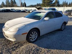 2002 Lexus ES 300 en venta en Graham, WA