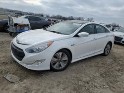 Hybrid Vehicles for sale at auction: 2015 Hyundai Sonata Hybrid