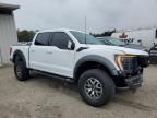 2022 Ford F150 Raptor