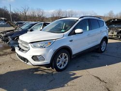 Salvage cars for sale from Copart Marlboro, NY: 2018 Ford Escape SEL