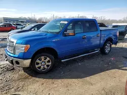 Salvage trucks for sale at Louisville, KY auction: 2013 Ford F150 Supercrew