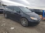 2011 Honda Odyssey EXL