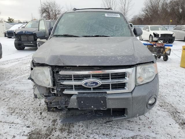 2010 Ford Escape XLT