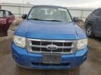 2012 Ford Escape XLS