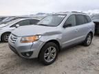 2010 Hyundai Santa FE SE