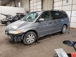 Honda Odyssey exl salvage cars for sale: 2002 Honda Odyssey EXL