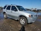 2002 Ford Escape XLT