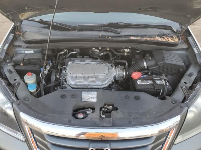 2008 Honda Odyssey EXL