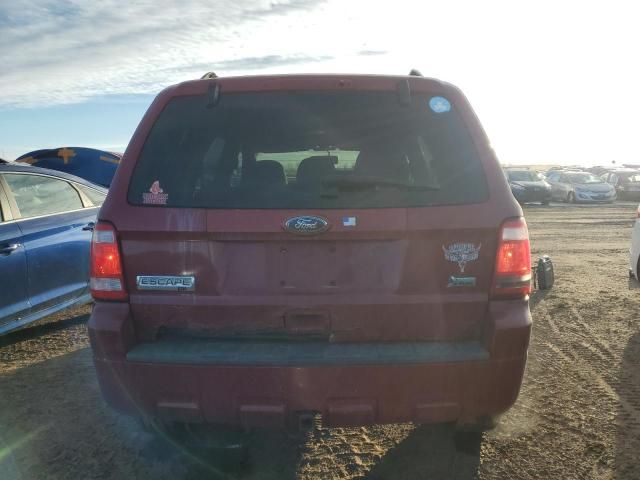 2011 Ford Escape XLT