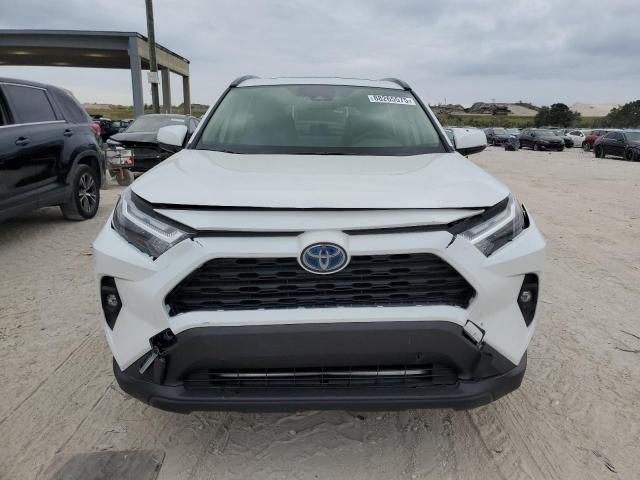 2023 Toyota Rav4 XLE Premium