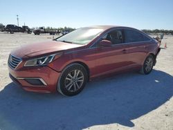 Salvage cars for sale at Arcadia, FL auction: 2016 Hyundai Sonata SE