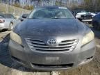 2009 Toyota Camry Hybrid