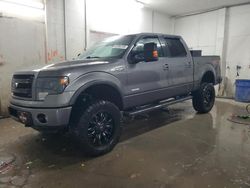 Ford salvage cars for sale: 2013 Ford F150 Supercrew