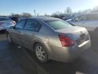 2006 Nissan Maxima SE