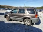 2007 Ford Escape XLT