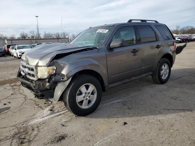 2009 Ford Escape XLT