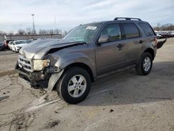 Salvage cars for sale at Fort Wayne, IN auction: 2009 Ford Escape XLT