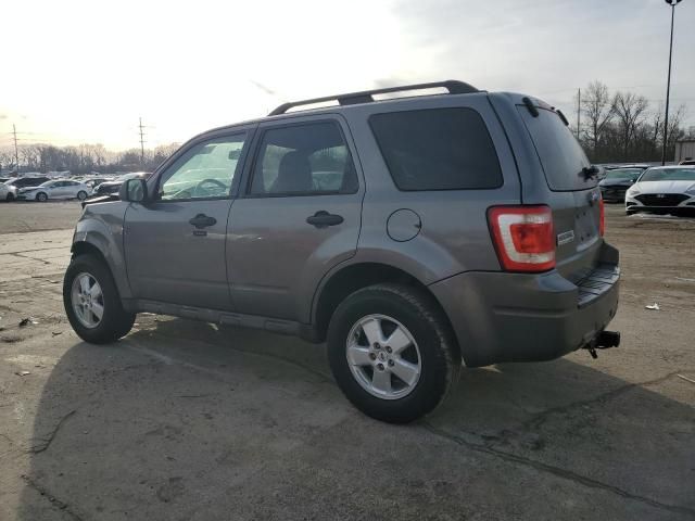 2009 Ford Escape XLT