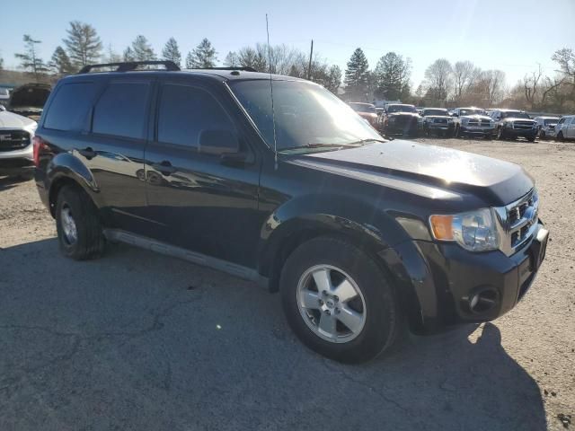 2012 Ford Escape XLT