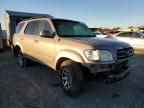 2001 Toyota Sequoia SR5