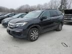 2019 Honda Pilot EXL