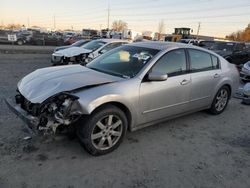 Salvage cars for sale at Eugene, OR auction: 2004 Nissan Maxima SE