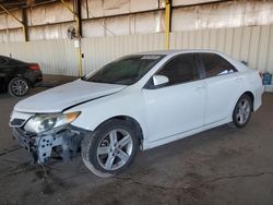 Salvage cars for sale at Phoenix, AZ auction: 2013 Toyota Camry L