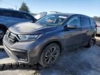 2020 Honda CR-V EXL