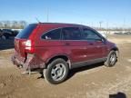 2007 Honda CR-V LX