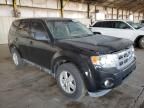 2012 Ford Escape XLS