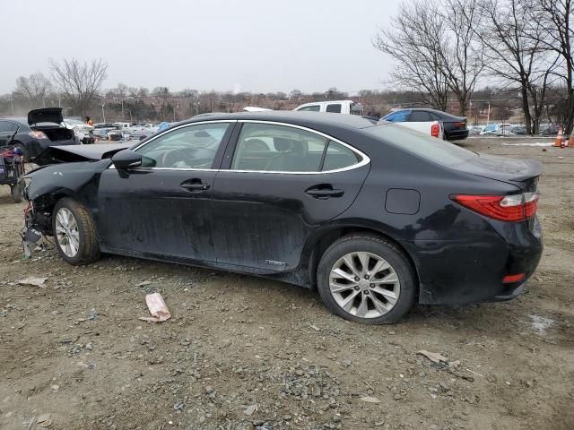 2014 Lexus ES 300H