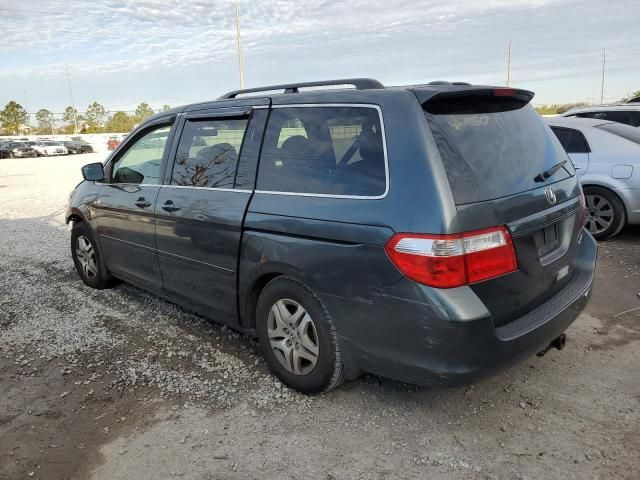 2005 Honda Odyssey EXL