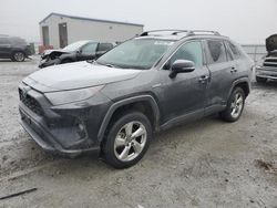 Toyota rav4 xle Premium salvage cars for sale: 2021 Toyota Rav4 XLE Premium