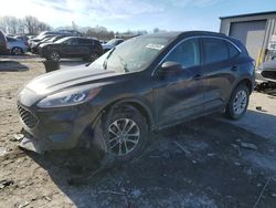 Ford Escape se Vehiculos salvage en venta: 2022 Ford Escape SE