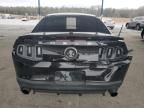 2010 Ford Mustang Shelby GT500