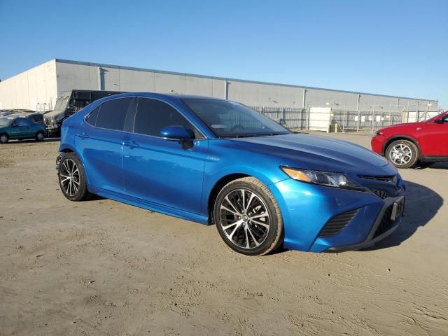 2019 Toyota Camry Hybrid