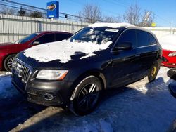 Salvage cars for sale at Walton, KY auction: 2016 Audi Q5 Premium Plus S-Line